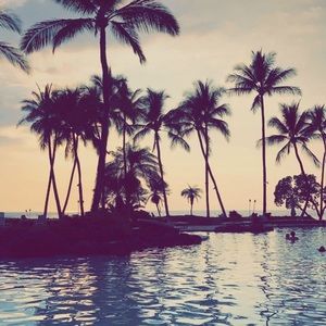 Meet your Posher, Tay